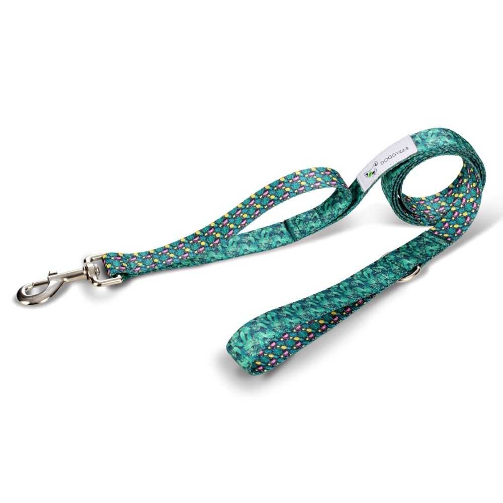 Eco friendly dog leash hotsell