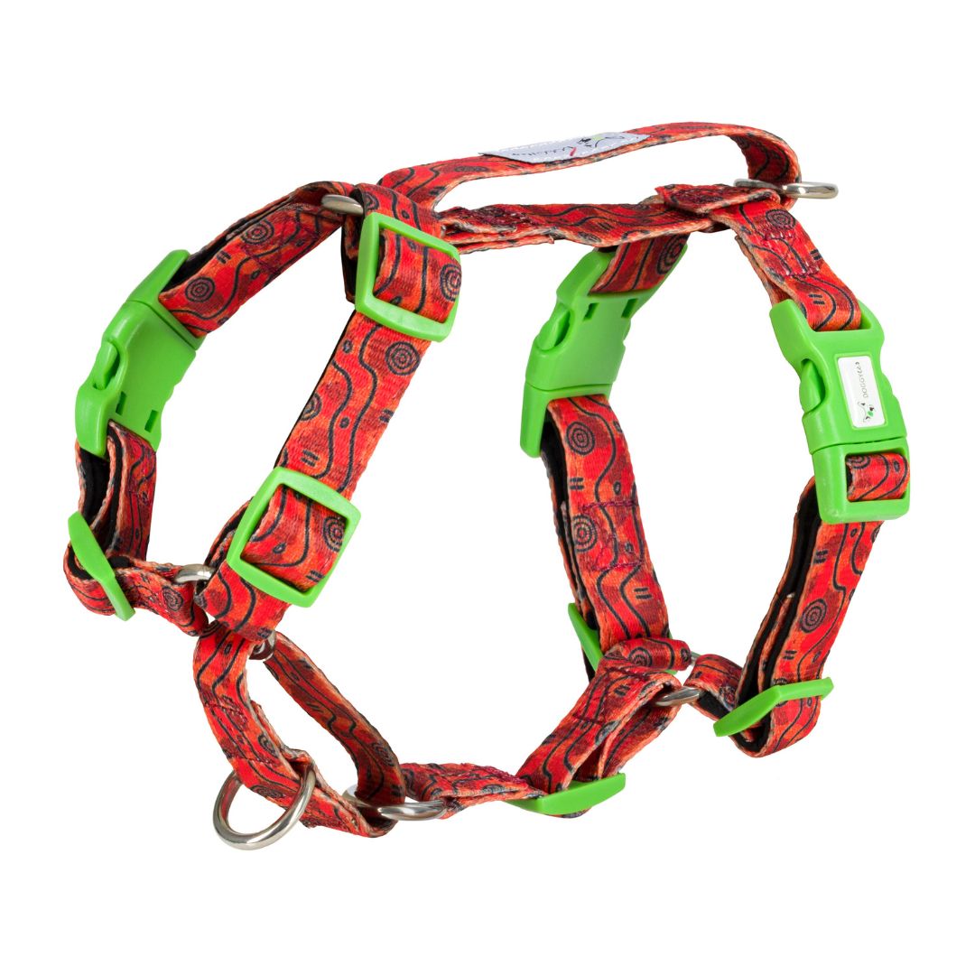 Dog Adventure Bundle With Harness Outback