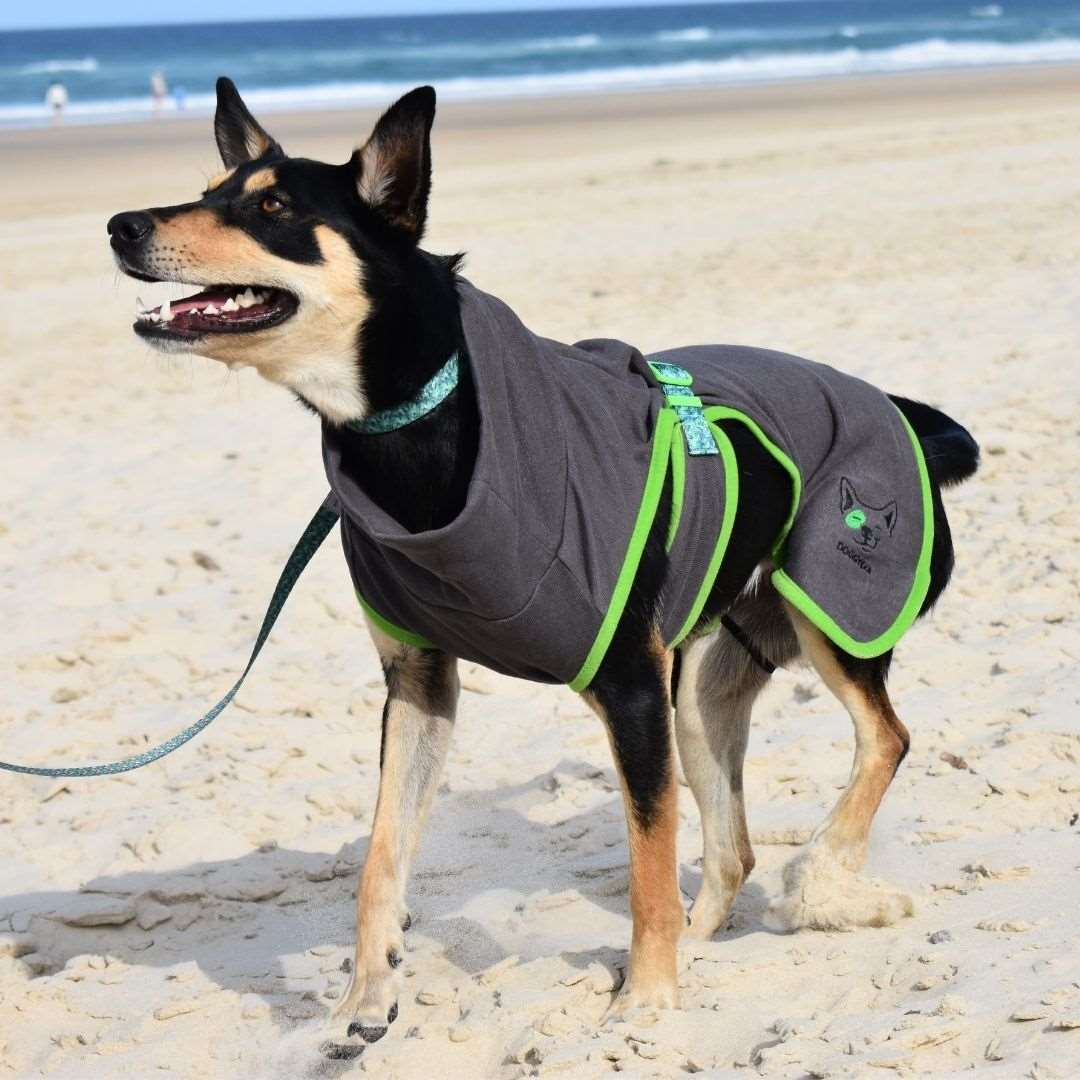 Organic 2025 dog harness