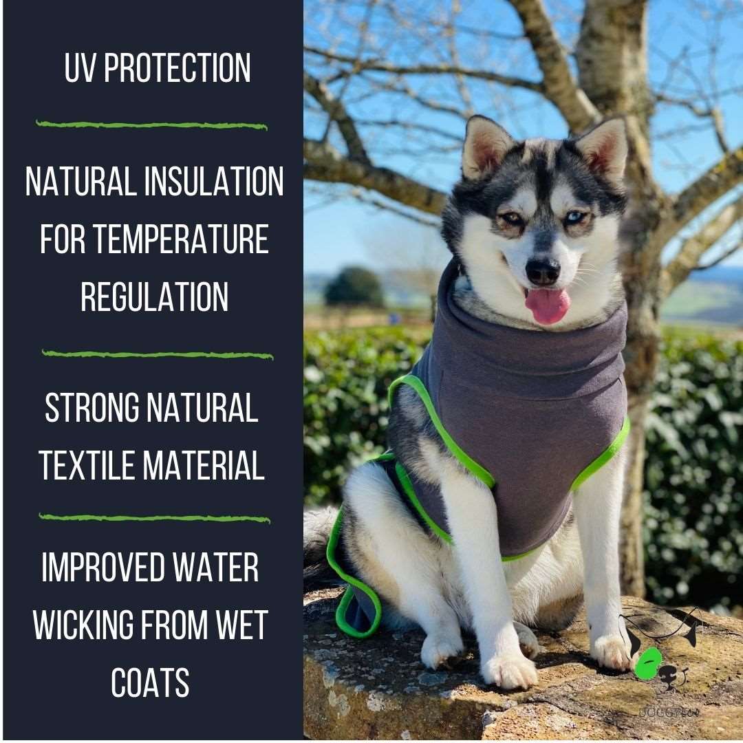 Outback best sale dog coat